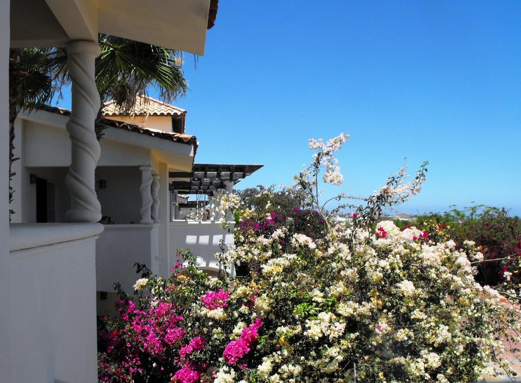 Los Cabos Golf Resort By Vri Resort Кабо Сан Лукас Екстериор снимка